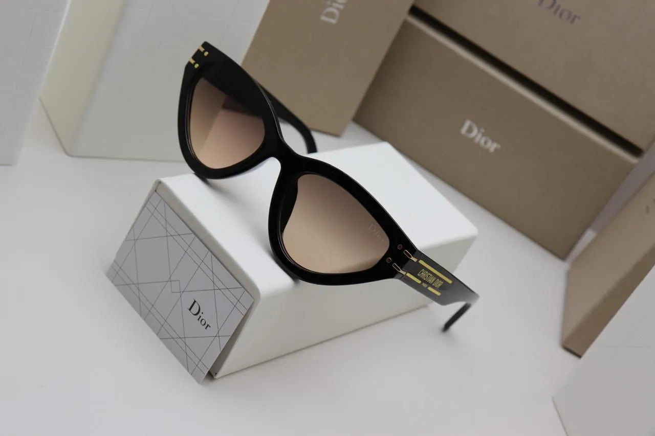 WhatsApp Image 2026-02-21 at 2.11.55 AM