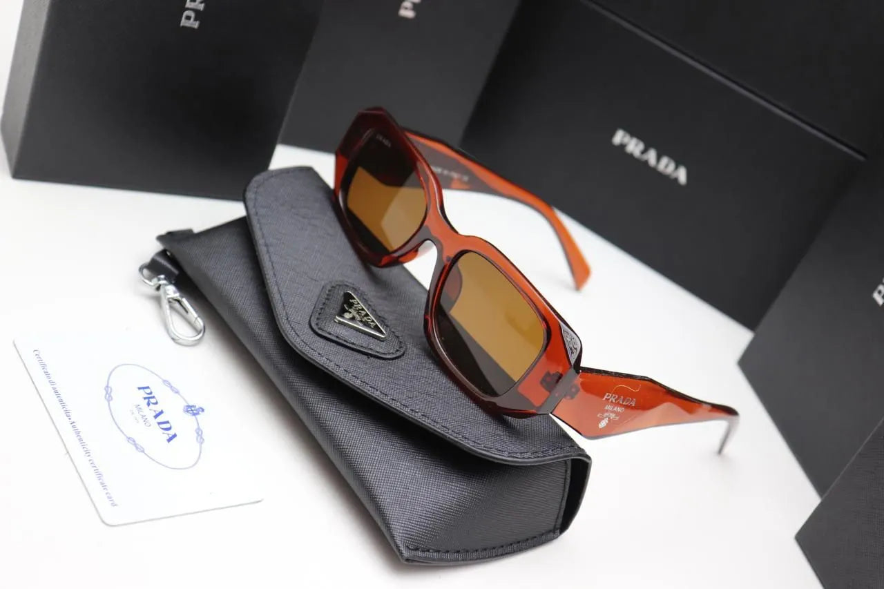 WhatsApp Image 2026-02-21 at 2.17.42 AM